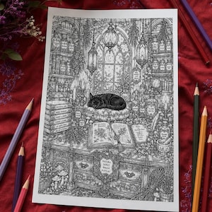 May include: A black and white line art illustration depicting a sleeping cat on a cushion atop a desk filled with books, potion bottles, and hanging lanterns. The desk features a plaque with the text Natura Sanat Magia Auxilat and an open book.