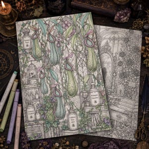May include: Two rectangular coloring book pages featuring detailed botanical illustrations of pitcher plants and apothecary jars with labels like Nepenthes Rajah and Sarracenia Leucophylla. The artwork includes intricate line work and soft pastel coloring.
