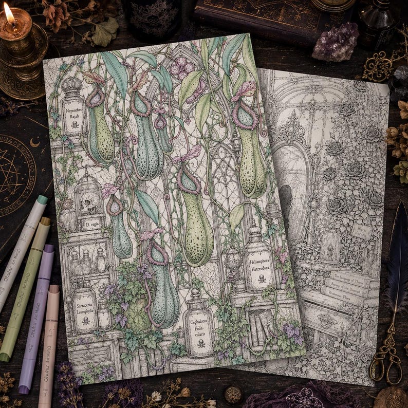 May include: Two rectangular coloring book pages featuring detailed botanical illustrations of pitcher plants and apothecary jars with labels like Nepenthes Rajah and Sarracenia Leucophylla. The artwork includes intricate line work and soft pastel coloring.