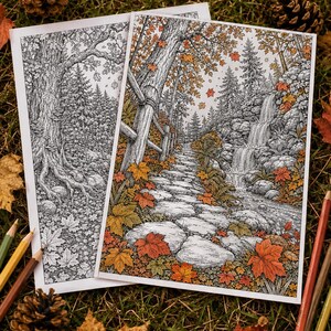 May include: Two rectangular coloring pages featuring detailed forest scenes. One page is a black and white line drawing of a tree and forest floor, while the other is a colored version depicting a stone path, a waterfall, and autumn leaves.