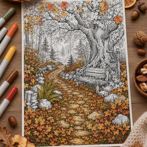 May include: A detailed colouring page illustration featuring a stone path winding through an autumn forest, a wooden bench beneath a large tree, and fallen maple leaves. The scene includes a lantern, ferns, and rocks, rendered in black ink with orange and yellow accents.