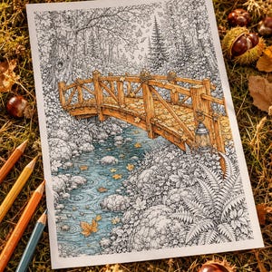 May include: A detailed colouring page illustration featuring a wooden footbridge arching over a flowing stream. The scene includes intricate line work of forest trees, ferns, and rocks, with selective colouring of the bridge and leaves in warm autumn tones.