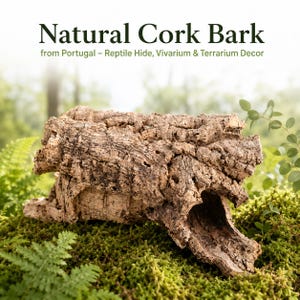 Może przedstawiać: Kawałek naturalnej kory korkowej o szorstkiej, teksturowanej brązowej powierzchni z wydrążonym otworem tunelowym. Tekst głosi: Natural Cork Bark from Portugal – Reptile Hide, Vivarium & Terrarium Decor. Kora ma surowy, organiczny wygląd.