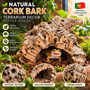 Può includere: Un nascondiglio per rettili in corteccia di sughero naturale per terrari, con una superficie cava, strutturata e ruvida. Un piccolo geco maculato giallo e nero è posizionato all'interno dell'apertura a tunnel. Il testo include NATURAL CORK BARK.