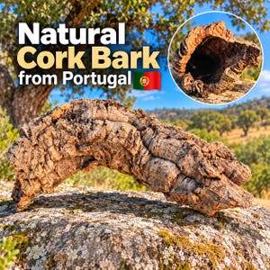 Túnel curvo de cortiça natural de 45 cm – Esconderijo para répteis, decoração de terrário, habitat para lagartixas, cobras e lagartos, cortiça portuguesa.