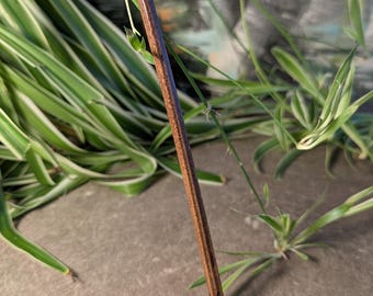 Bombilla en bambou faite main – paille filtrante naturelle pour thé et infusion