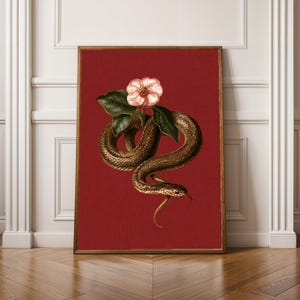 May include: A framed wall art print featuring a brown snake coiled around a single pale pink flower with green leaves, set against a solid deep red background. The illustration displays detailed scales on the snake and soft petals on the flower.