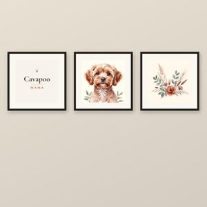 Puede incluir: Tres cuadros cuadrados con marcos negros. La lámina de la izquierda contiene el texto Cavapoo MAMA. La lámina central muestra una ilustración en acuarela de un perro Cavapoo marrón. La lámina de la derecha muestra un arreglo de flores secas.
