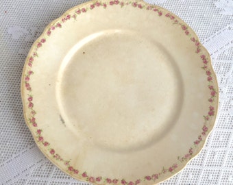 Pink Rose Pattern Luncheon Plate/ Vintage Ceramic China Plate in Rose pattern by New Jersey China Pottery Co