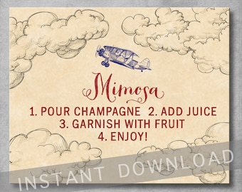 Mimosa Instruction Sign - 8x10 inches - Vintage Airplane - Baby Shower - Birthday - Mimosa Bar - Digital - Printable - INSTANT DOWNLOAD