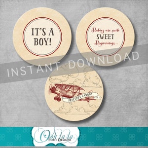 Vintage Airplane Cupcake Toppers - Precious Cargo - Baby Shower - Retro - Baby Boy - Red - Vintage - Printable DIY - INSTANT DOWNLOAD