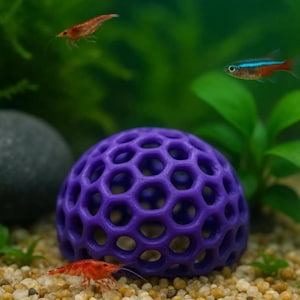 Puede incluir: Una decoración de acuario esférica morada con un diseño de panal de abeja descansa sobre grava. Dos camarones rojos y un neón nadan en el fondo. También se ven plantas verdes y una roca oscura.