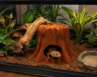Baumstumpf Reptilienhaut: Wärmelampe und UV-Licht sicher | Höhlen-Baumstamm