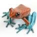 see more listings in the Frogs in bronze section