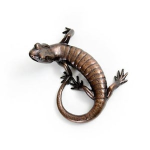 Salamander 3. Bronze image 1