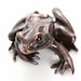 see more listings in the Frogs in bronze section