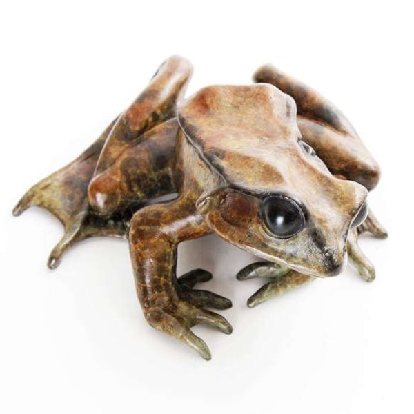 Common frog looking left. Limited edition bronze