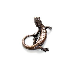 Salamander 3. Bronze image 3