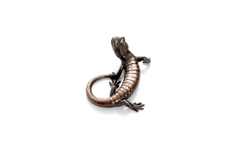 Salamander 3. Bronze image 3