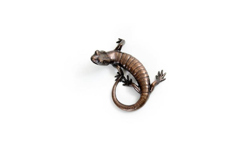 Salamander 3. Bronze image 1