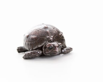 Tortoise hatchling with head emerging from shell. Open edition bronze.
