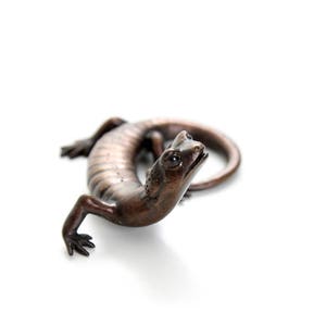 Salamander 3. Bronze image 2