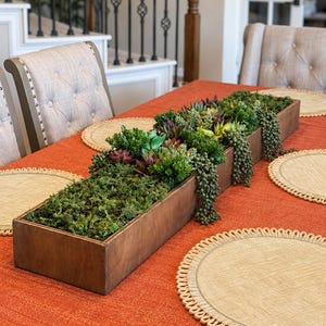 May include: A long, rectangular, dark brown wooden box with a smooth finish. The box is filled with various green and purple artificial succulents and moss. The text at the bottom of the image reads: BOX ONLY • GREENERY NOT INCLUDED.