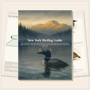 May include: A New York Birding Guide book cover featuring a common loon swimming in a lake with a mountain landscape in the background. The text reads New York Birding Guide, with details about 24 bird features, 6 birding regions, and 1 flyway.