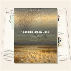 May include: A California Birding Guide book cover featuring a large flock of birds flying over a marshy landscape at sunset. The text reads California Birding Guide, 24 birds featured, 6 birding regions, and 1 flyway, with additional descriptive text.