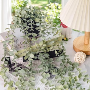 May include: A trailing artificial eucalyptus plant with light green, rounded leaves in a black pot. The plant is positioned on top of two stacked books titled Giorgio Morandi and Commuting, next to a small table lamp with a pleated white shade.