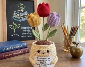 Teacher Gift, Crochet Flower Pot, Emotional Support Plant with Personalized Message, Mother's Day Gift, Daisy Sunflower Rose Tulip