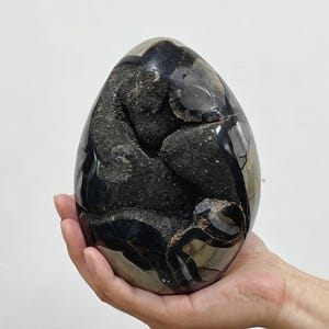 May include: An egg-shaped mineral specimen featuring a polished, reflective black surface with a large, central geode-like cavity filled with dark, rough, and granular crystalline textures that contrast with the smooth exterior finish.