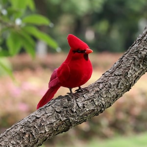 Op de afbeelding: Een felrood kardinaalvogelbeeldje met een opvallende kuif, een zwart masker rond de ogen en een kleine oranje snavel. De vogel zit op een gestructureerde, bruine, diagonale boomtak met zichtbare schorsdetails en een zachte, wazige achtergrond.