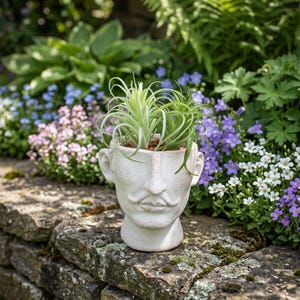 May include: A white ceramic planter shaped like a face with a mustache, holding green air plants. The planter sits on a stone wall with a garden background filled with colorful flowers.