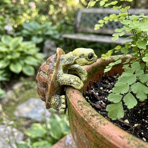 Könnte beinhalten: Eine detaillierte, dekorative Schildkrötenfigur in Grün- und Brauntönen, die am Rand eines Terrakotta-Topfes sitzt. Die Schildkröte hat einen strukturierten Panzer und befindet sich in der Nähe von grünem Laub, was auf eine Garteneinstellung hindeutet.