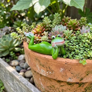 May include: A green frog ornament rests on the rim of a terracotta plant pot, surrounded by a variety of succulents and small green plants. The frog has a smiling face and is resting its head on its hand. The pot is in a garden.
