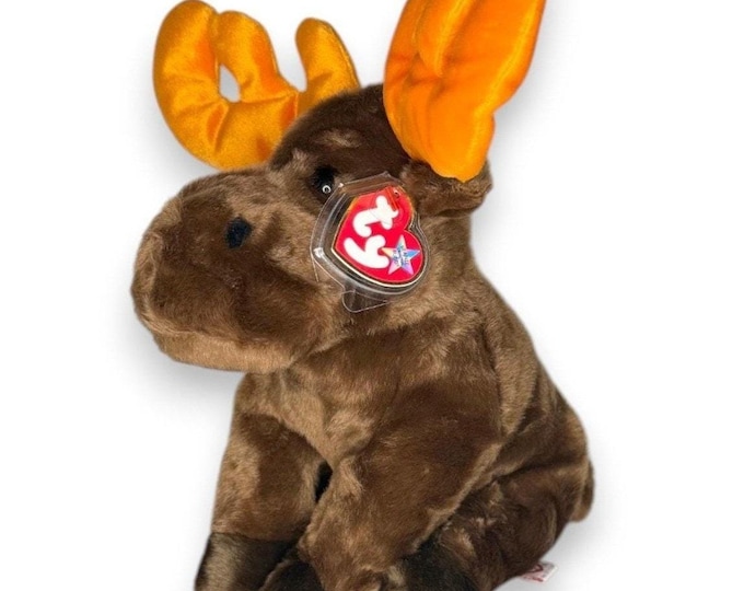 Chocolate the Moose | Woodland Gentle Giant | Mint Heart Tag TY Beanie Buddy