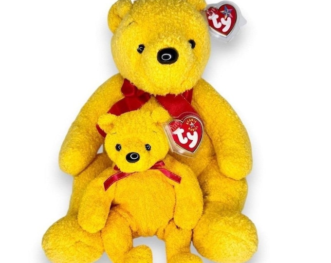 Poopsie the Bear Duo | Honey Hug Pair | Mint Heart Tags TY Beanie Baby & Buddy