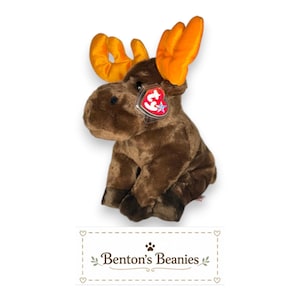 Chocolate el alce TY Beanie Buddies / Etiquetas de menta