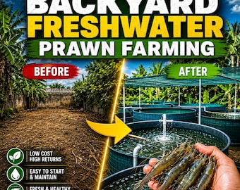 Backyard FRESHWATER Prawn Farming eBook: Home AQUACULTURE Guide, Prawn Raising PDF Download