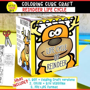 May include: A coloring cube craft featuring the life cycle of a reindeer. The cube displays a cartoon reindeer face with the text Life Cycle of Reindeer. One side shows an adult reindeer with the text Adult Reindeer 4. Includes a flat paper template.
