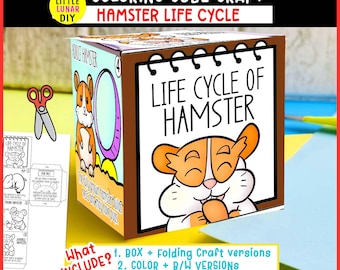 Hamster Lebenszyklus Cube Box Falten Handwerk: PET Tiere Studieren Interaktive Wissenschaft Ressourcen Aktivität Kinder Vorschulspiel Lernen Homeschool
