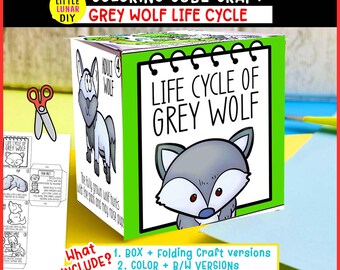 Grauer Wolf Lebenszyklus Cube Box Falten Handwerk: Wildtier Wald Tierstudie Interaktive Wissenschaftliche Ressourcen Aktivität Kinder Vorschulspiel Lernen