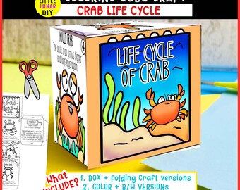 Krabbe Lebenszyklus Cube Box Falten Handwerk: Ocean Sea Meerestierstudie Interaktive Wissenschaftliche Ressourcenaktivität Vorschul-Klassenzimmer-Lernen