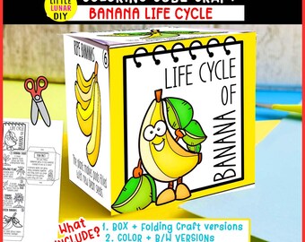 Bananen-Lebenszyklus-Würfel-Kasten-faltendes Handwerk: FRUIT-Plant-Unit-Studium Interaktive Wissenschaftsressourcenaktivität Kindervorschul-Spiel-Lernen