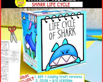 Hai-Lebenszyklus Cube Box Falten Handwerk: OCEAN Sea Marine Fish Tierstudie Interaktive Wissenschaftliche Ressourcenaktivität Kinder Vorschullernen
