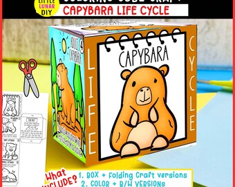 Capybara Life Cycle Cube Box Falthandwerk: MAMMAL Nagetier-Feuchtgebiets-Tierstudie Interaktive Wissenschaftsressourcenaktivität Kindervorschullernen