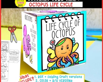 Octopus Life Cycle Cube Box Faltendes Handwerk: Ozean-Meerestierstudie Interaktive Wissenschaftsressourcenaktivität Vorschul-Klassenzimmerlernen