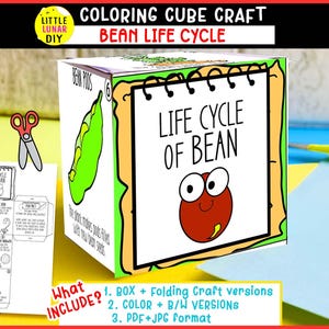 Può includere: Un cubo di carta da assemblare intitolato Life Cycle of Bean con un personaggio a forma di fagiolo con grandi occhi. Il cubo mostra illustrazioni di baccelli e testo sul processo di crescita. A sinistra è visibile un foglio con il modello.