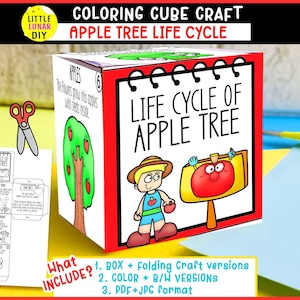 May include: A paper craft cube titled Life Cycle of Apple Tree featuring a cartoon character and a red apple illustration. The cube includes text describing the apple life cycle, with a separate flat template sheet and scissors visible nearby.